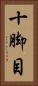 十脚目 Vertical Portrait