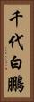 千代白鵬 Vertical Portrait