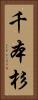 千本杉 Vertical Portrait