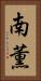 南薫 Vertical Portrait