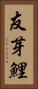 友芽鯉 Vertical Portrait