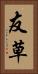 友草 Vertical Portrait