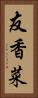 友香菜 Vertical Portrait