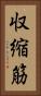 収縮筋 Vertical Portrait