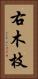 右木枝 Vertical Portrait