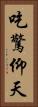 吃驚仰天 Vertical Portrait