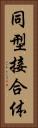 同型接合体 Vertical Portrait