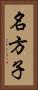 名方子 Vertical Portrait