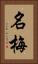 名梅 Vertical Portrait
