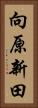 向原新田 Vertical Portrait