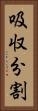 吸収分割 Vertical Portrait