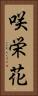咲栄花 Vertical Portrait