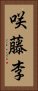 咲藤李 Vertical Portrait