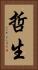 哲生 Vertical Portrait