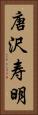 唐沢寿明 Vertical Portrait