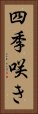 四季咲き Vertical Portrait