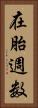 在胎週数 Vertical Portrait