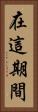 在這期間 Vertical Portrait