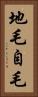 地毛 Vertical Portrait