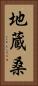 地蔵桑 Vertical Portrait