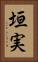 垣実 Vertical Portrait