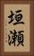 垣瀬 Vertical Portrait