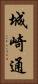 城崎通 Vertical Portrait