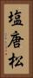 塩唐松 Vertical Portrait
