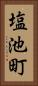 塩池町 Vertical Portrait