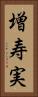 増寿実 Vertical Portrait