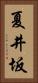夏井坂 Vertical Portrait