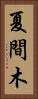 夏間木 Vertical Portrait