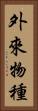 外來物種 Vertical Portrait