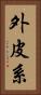 外皮系 Vertical Portrait