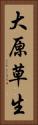 大原草生 Vertical Portrait
