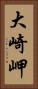 大崎岬 Vertical Portrait