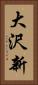 大沢新 Vertical Portrait