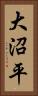 大沼平 Vertical Portrait