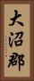 大沼郡 Vertical Portrait