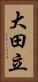 大田立 Vertical Portrait