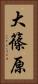 大篠原 Vertical Portrait