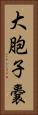 大胞子嚢 Vertical Portrait
