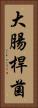 大腸桿菌 Vertical Portrait