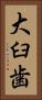 大臼歯 Vertical Portrait
