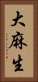 大麻生 Vertical Portrait