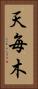 天毎木 Vertical Portrait