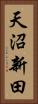 天沼新田 Vertical Portrait