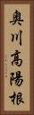 奥川高陽根 Vertical Portrait