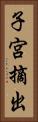 子宮摘出 Vertical Portrait