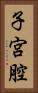 子宮腔 Vertical Portrait